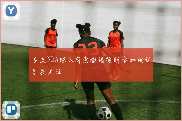 多支NBA球队有意邀请徐昕参加试训引发关注