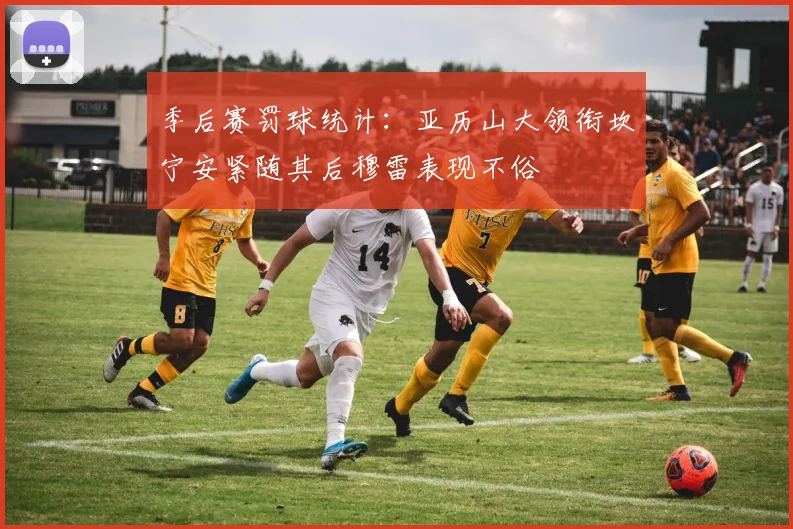 季后赛罚球统计：亚历山大领衔坎宁安紧随其后穆雷表现不俗